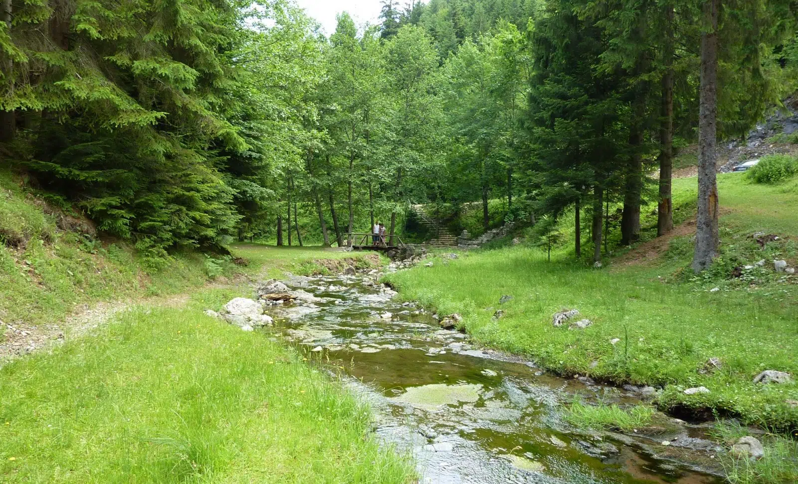 Muška Voda Kladanj Skriveni Izvor U Netaknutoj Prirodi