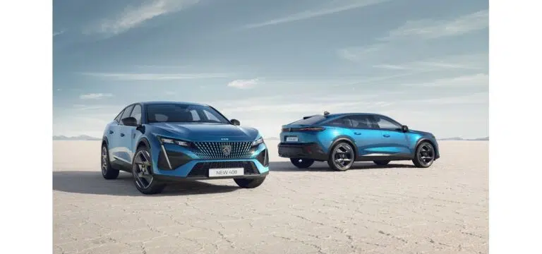 automobilizam