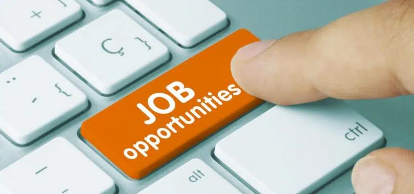 CALL FOR CONSULTANCY KALI SARA – ROMA INFORMATION CENTER