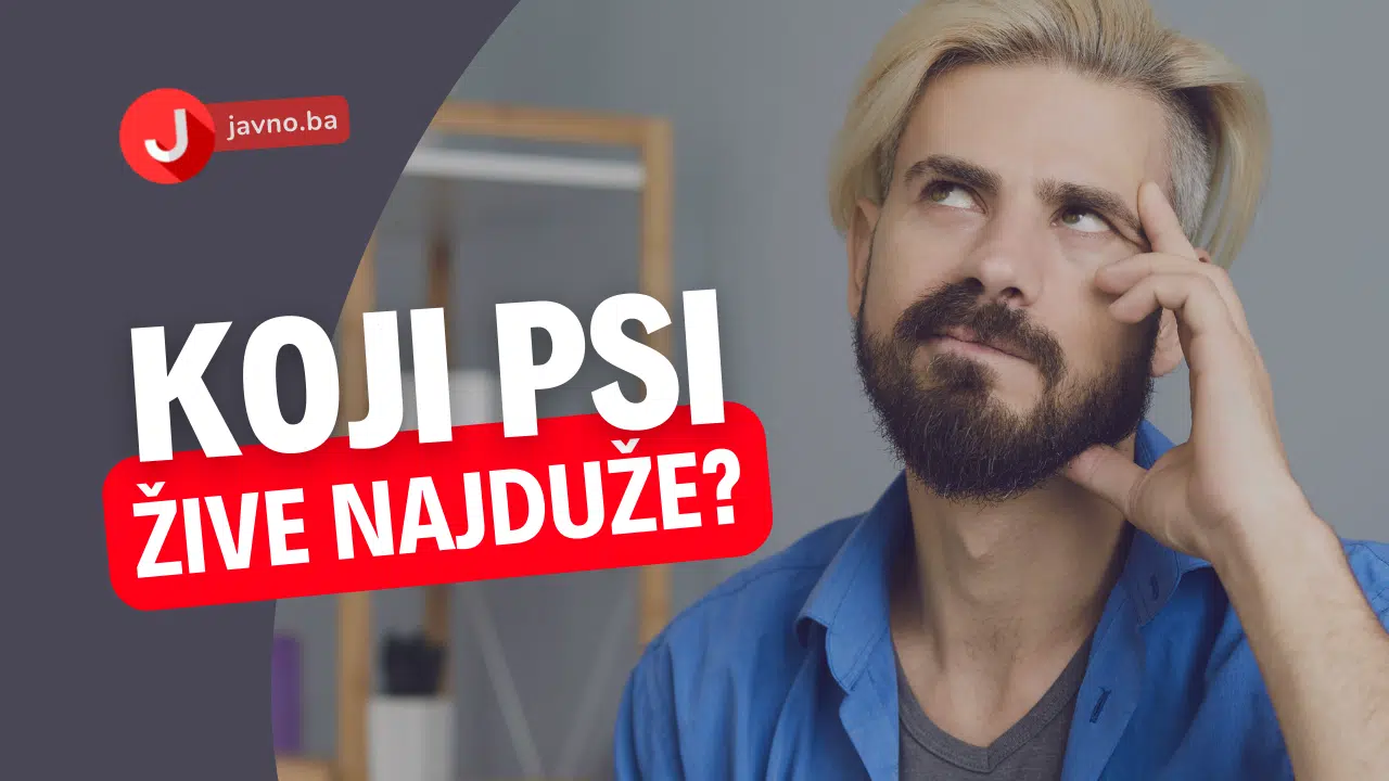 koji psi zive najduže