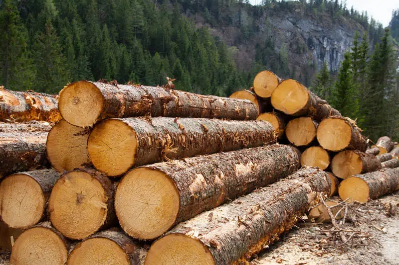 Izvoz drvnog sektora BiH povećan za 22,3 posto