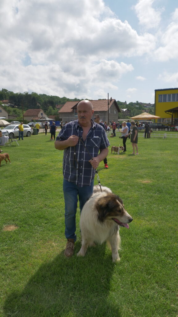 najtrofejniji toranj pomogao vlasniku da pobijedi najtežu bolest - flash.ba