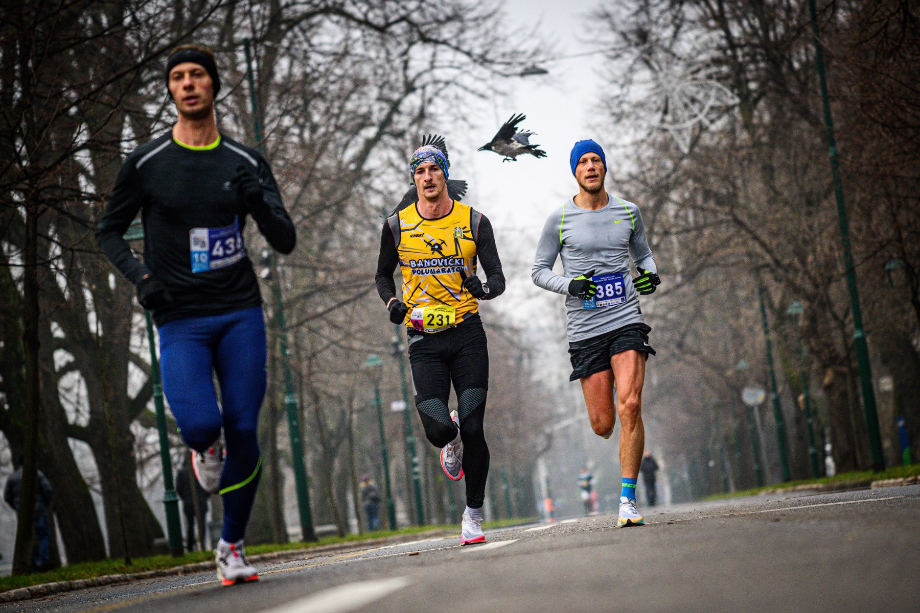održan peti “bh telecom unusual marathon” sarajevo