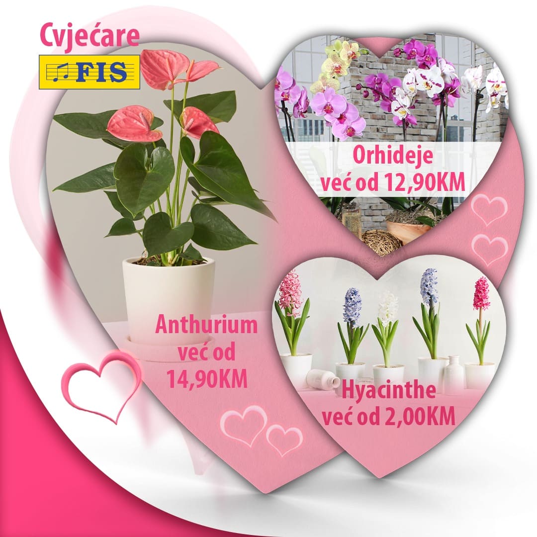 FIS akcija 15
