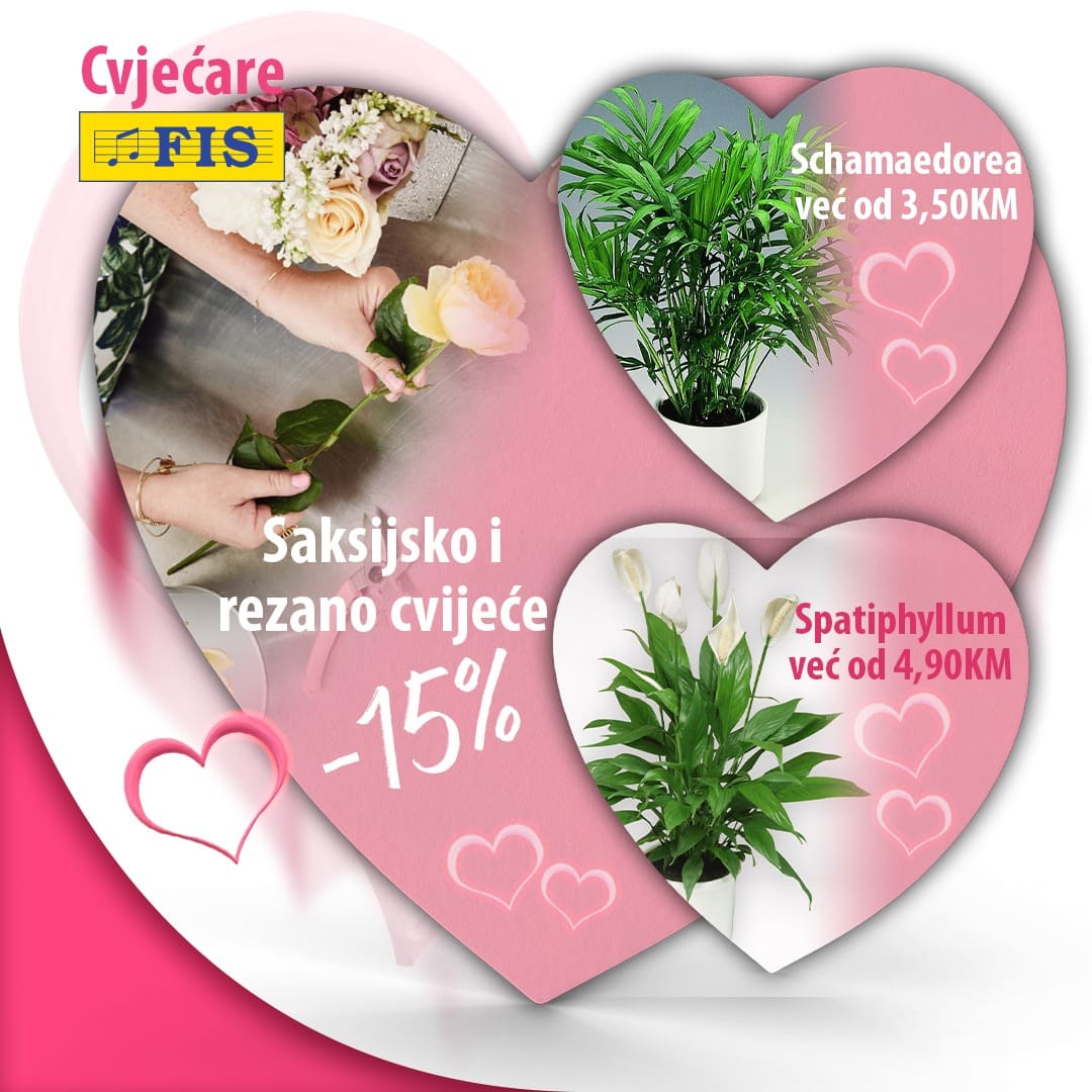 FIS akcija 16