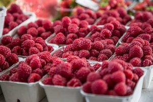 Maline
