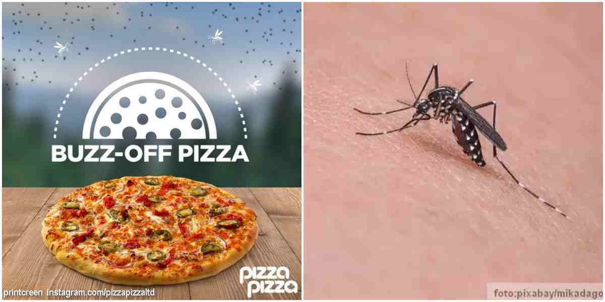 pizza protiv komaraca