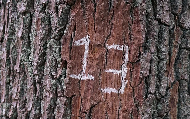 13 zanimljivosti o današnjem danu