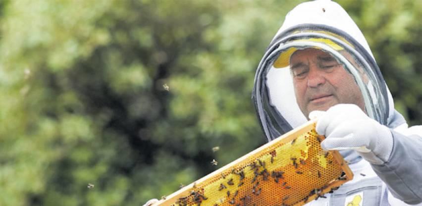 pčelari širom bih odustaju od posla: klimatske promjene guše proizvodnju meda