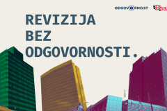 Revizija bez odgovornosti