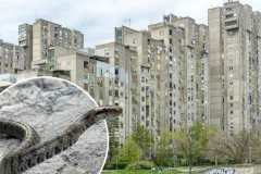 Horor u novom stanu: Iz sna je probudio snažan pritisak, zmija joj se obmotala oko vrata! ‘Čupala sam kosu…’